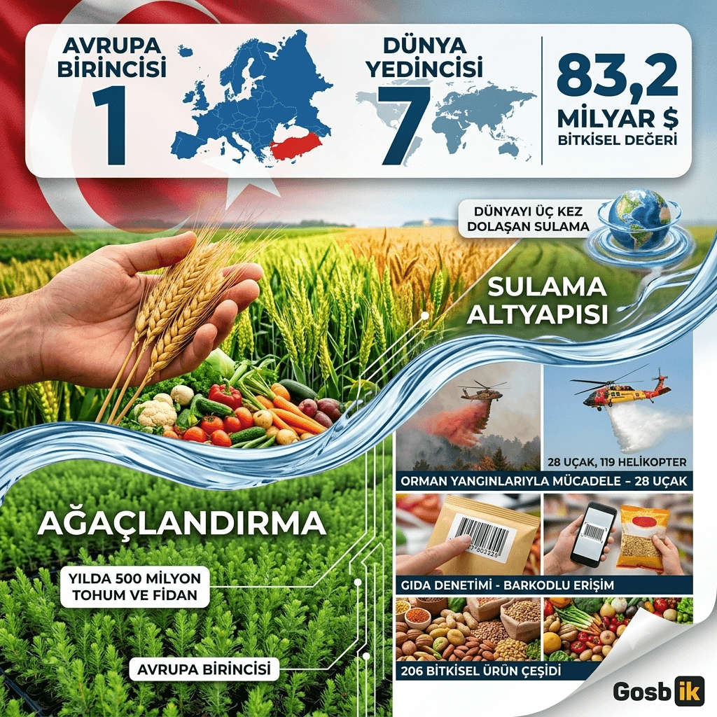 Türkiye Tarımda Dünya Sıralamasını Değiştirdi: 83,2 Milyar Dolarlık Hasılayla Avrupa'da Zirveye Çıktı