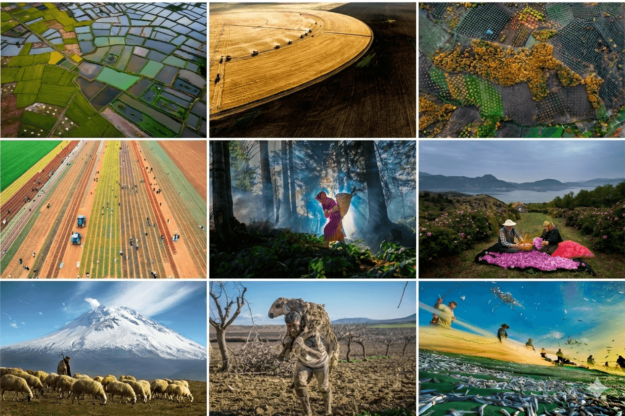 1,7 Milyon TL Ödüllü Tarım, Orman ve İnsan Fotoğraf Yarışması Başladı: 2026 Teması “Kadının Emeği” Oldu!