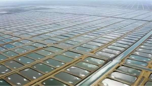 Adana'da Su Ürünleri OSB Kuruldu