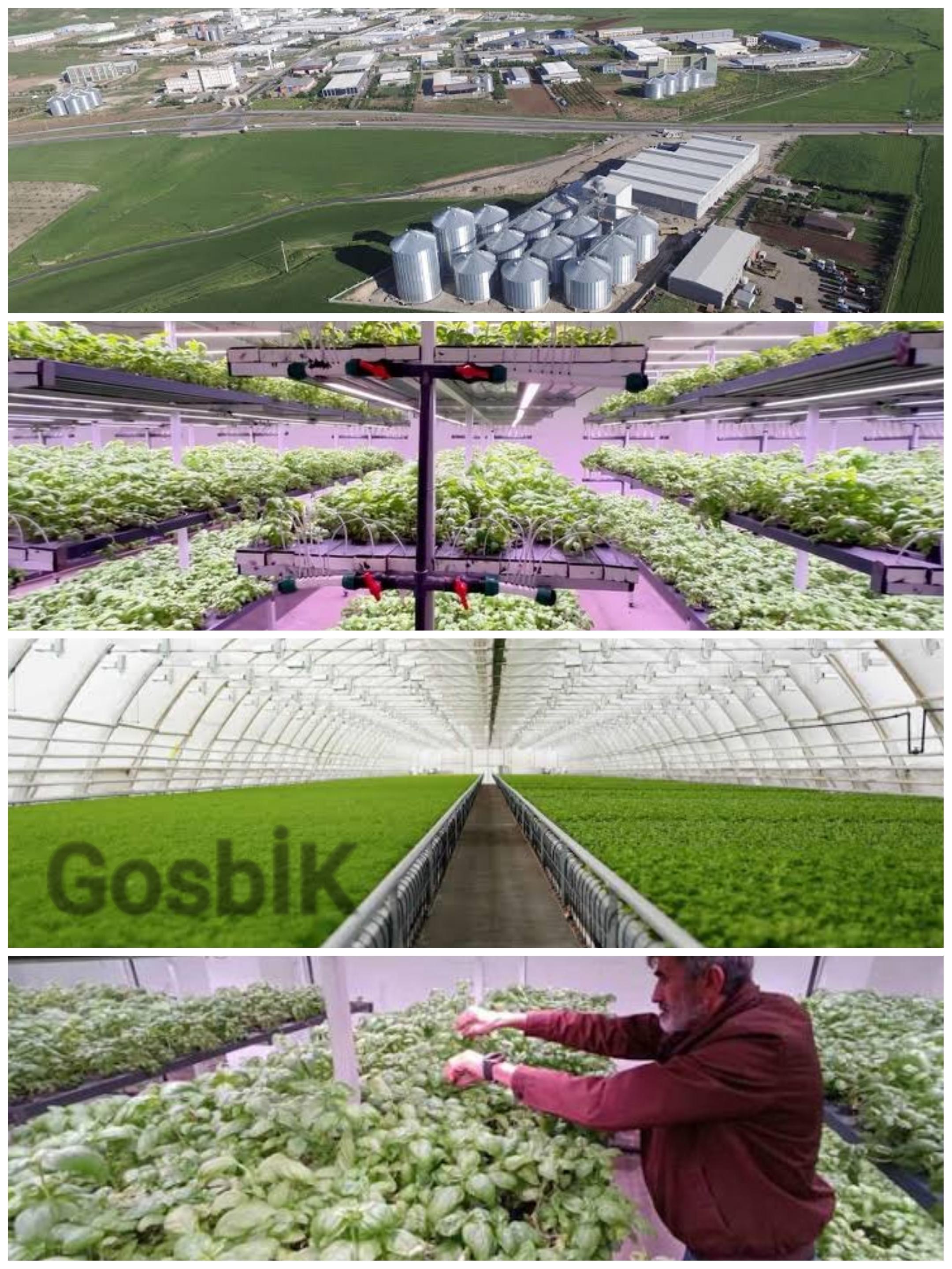 Batman OSB, Dikey Tarımda Yeni Dönem: 6 Dönümlük Kapasiteyi 1.100 m²’ye Sığdıran 30 Milyon TL’lik Dev Yatırım