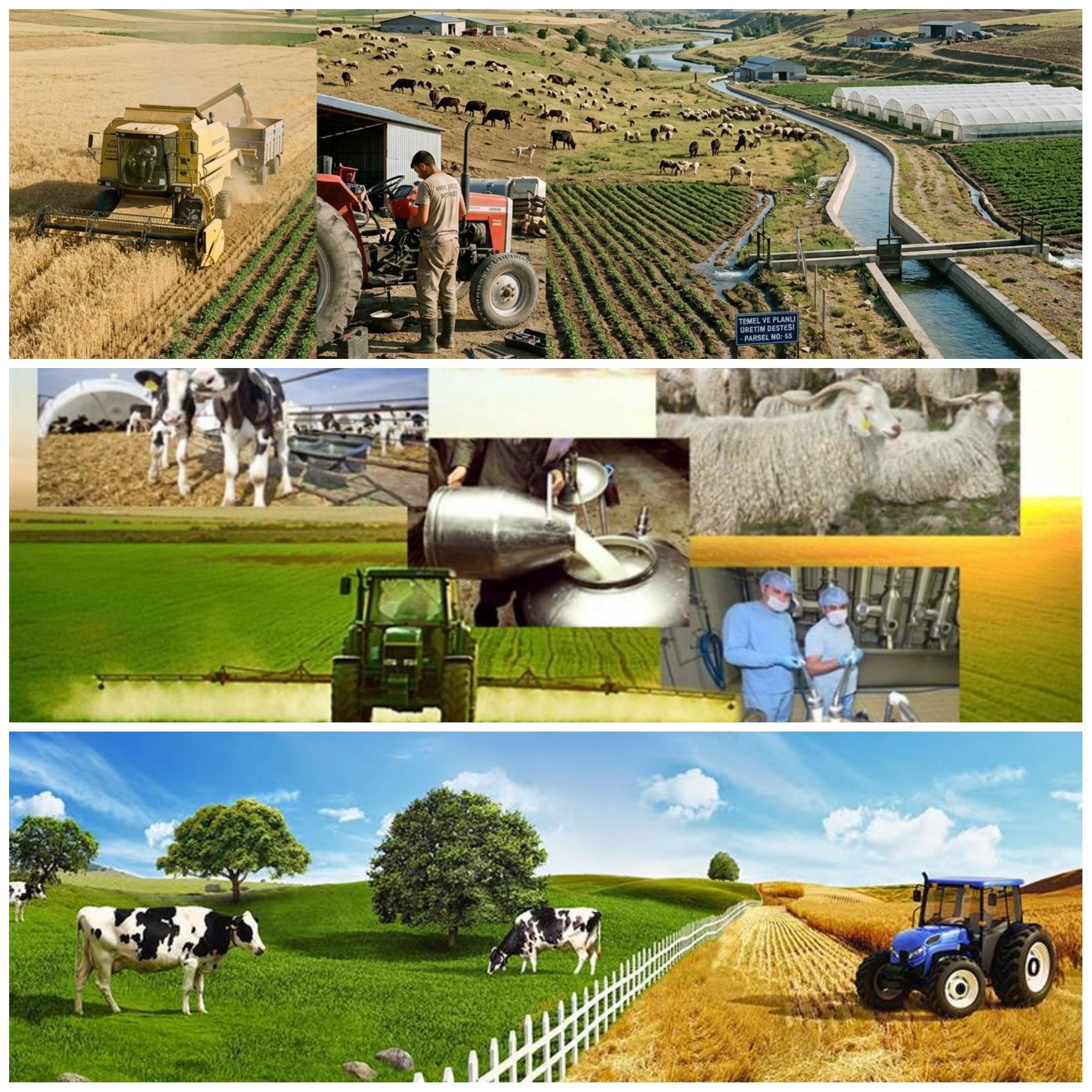 Çiftçilere 81 Milyar TL Ödeme 6 Mart'ta Başlıyor. 2026’da Tarıma 1 Trilyon TL Destek Verilecek