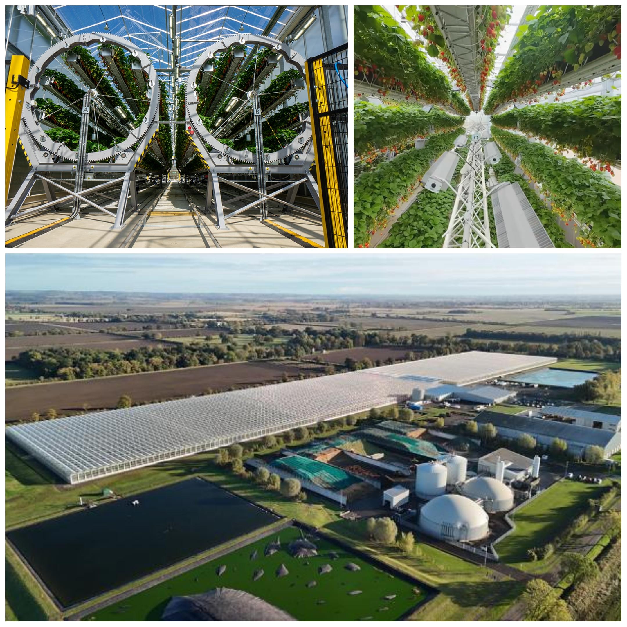 Dyson’ın Sera ve Tarım Yatırımı: Teknoloji ile Geleceğin Çiftçiliğine Büyük Adım