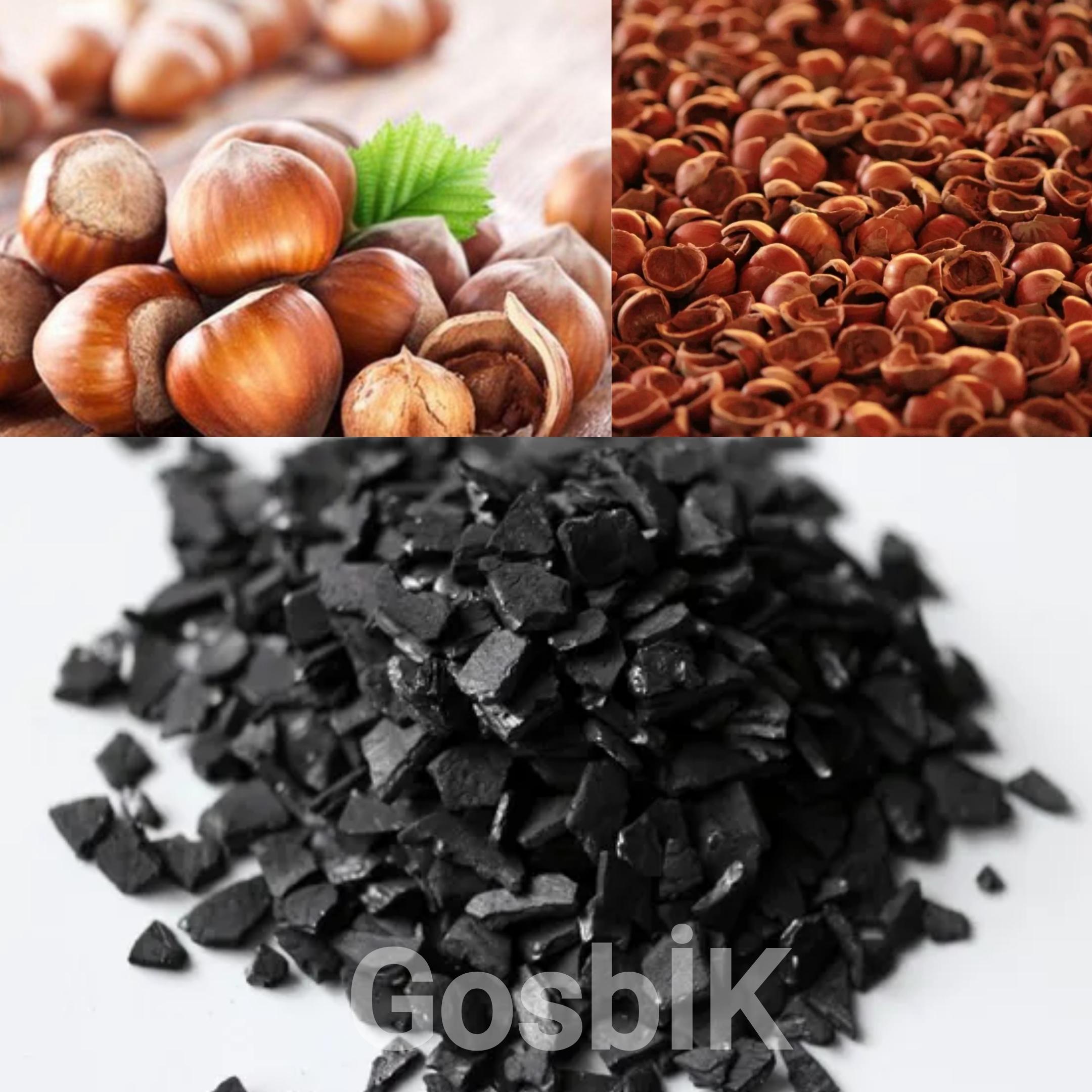 Fındık Kabuğundan Milyar Dolarlık Değer: Sakarya Hendek’te Stratejik Aktif Karbon Hamlesi🌰🏭