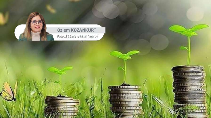 İklim Ekonomisi’nin Sunduğu Fırsatlar