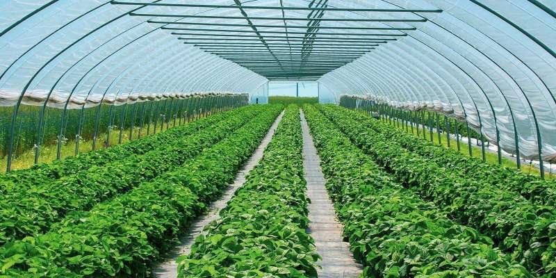 Sera OSB ile Batman bölgenin yeni tarım üssü oluyor!