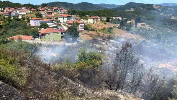 Zonguldak'ta OSB İçinde Orman Yangını