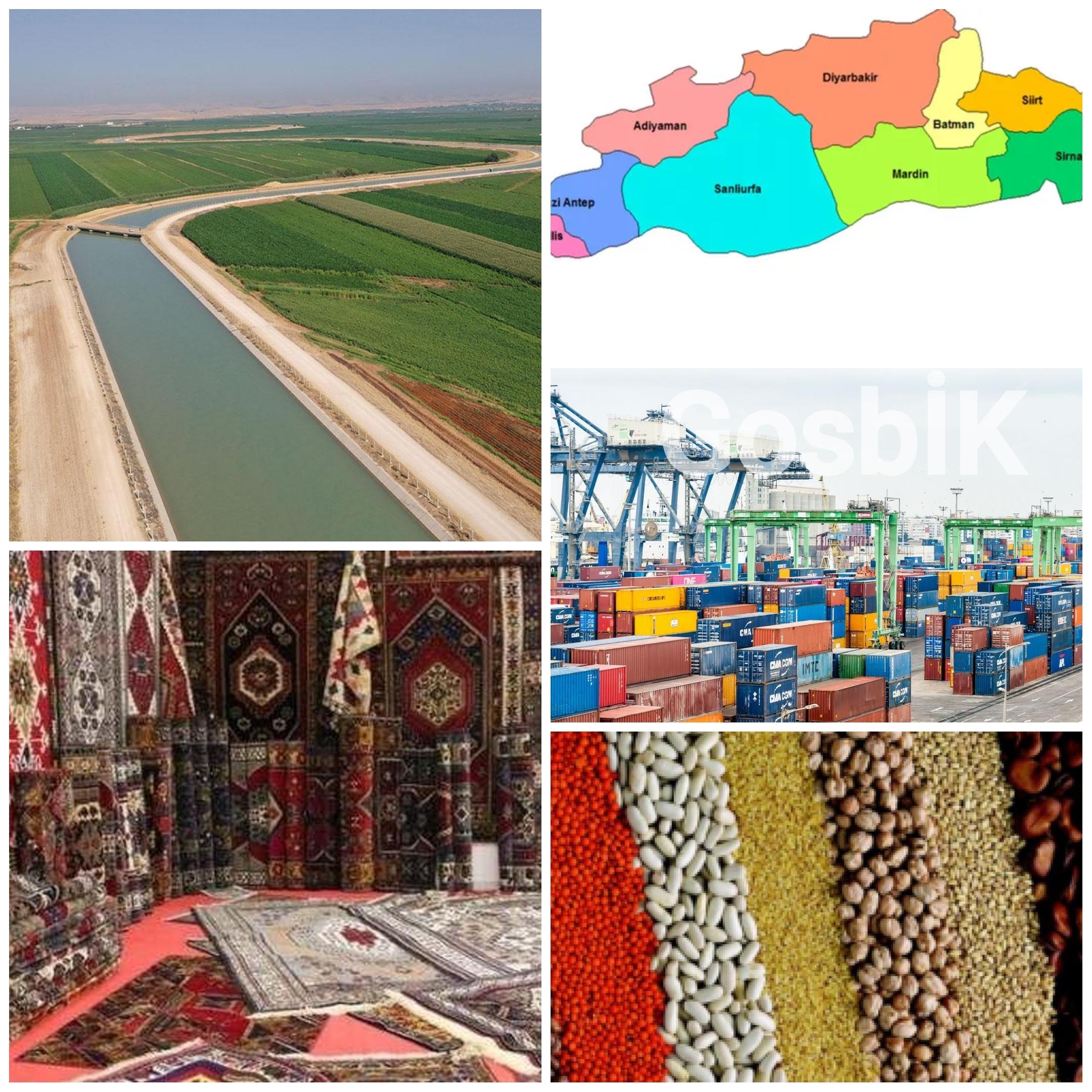 Güneydoğu Anadolu’nun İhracatı 2025’te 12 Milyar Dolara Ulaştı