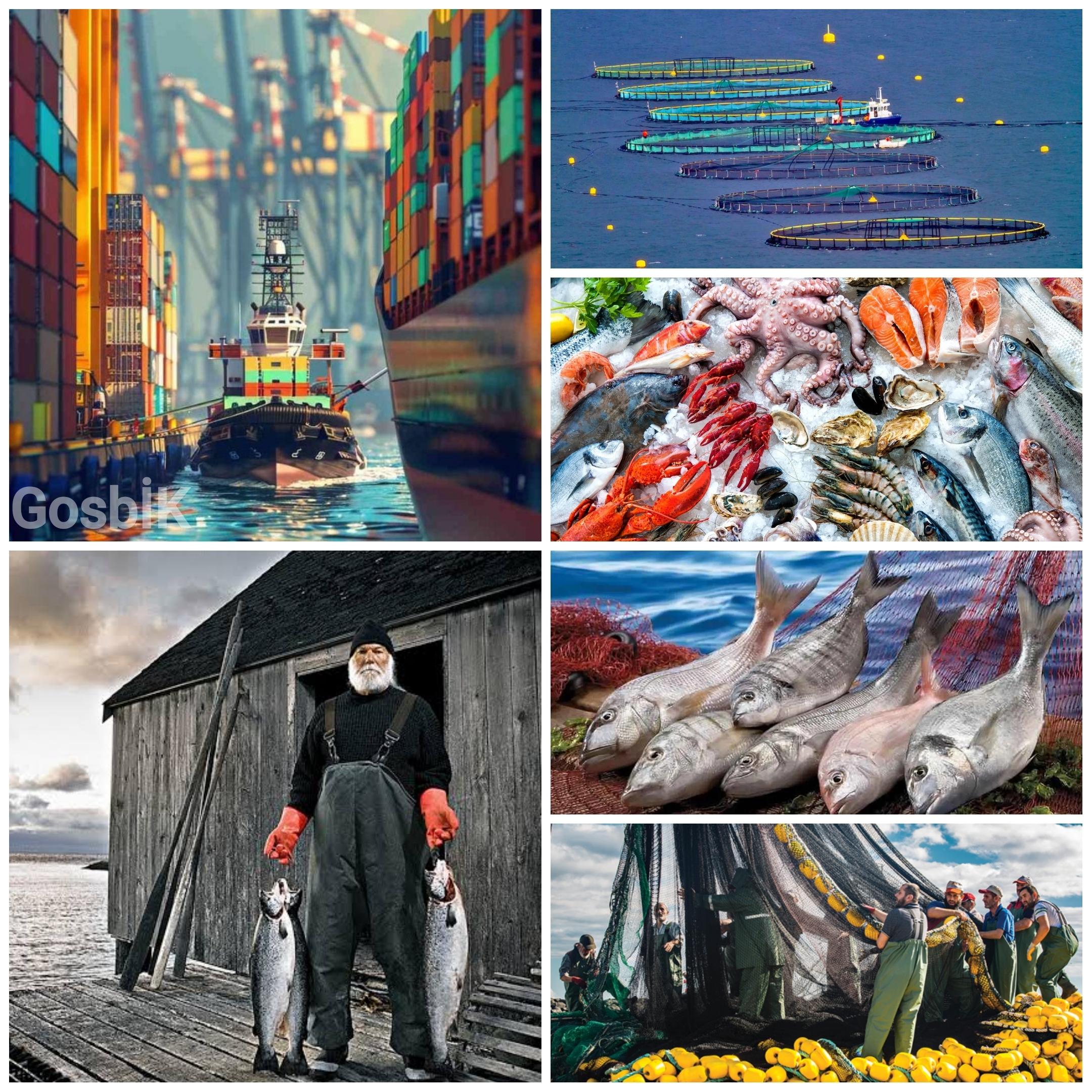 Karadeniz Su Ürünleri İhracatında Güçlü Başlangıç: Ocak Ayında 28 Milyon Dolar Aşıldı 🌊