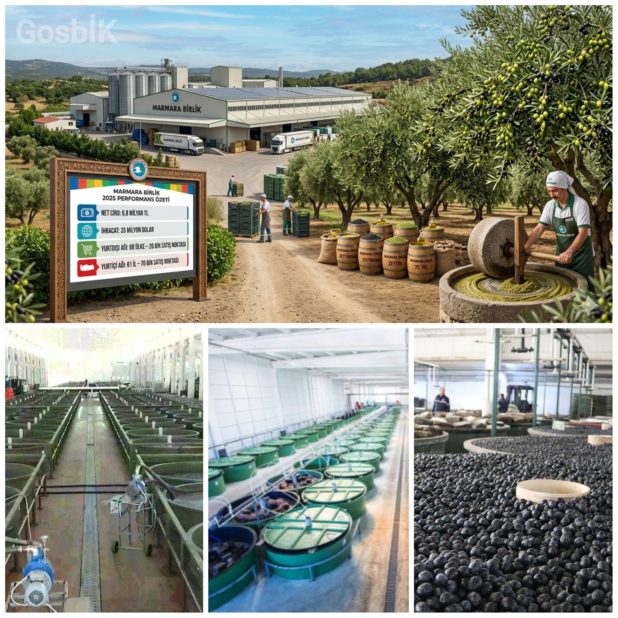 Marmarabirlik 2025’te Rekor Kırdı: 35 Milyon Dolar İhracat, 6,8 Milyar TL Ciro ve 68 Ülkede Küresel Büyüme