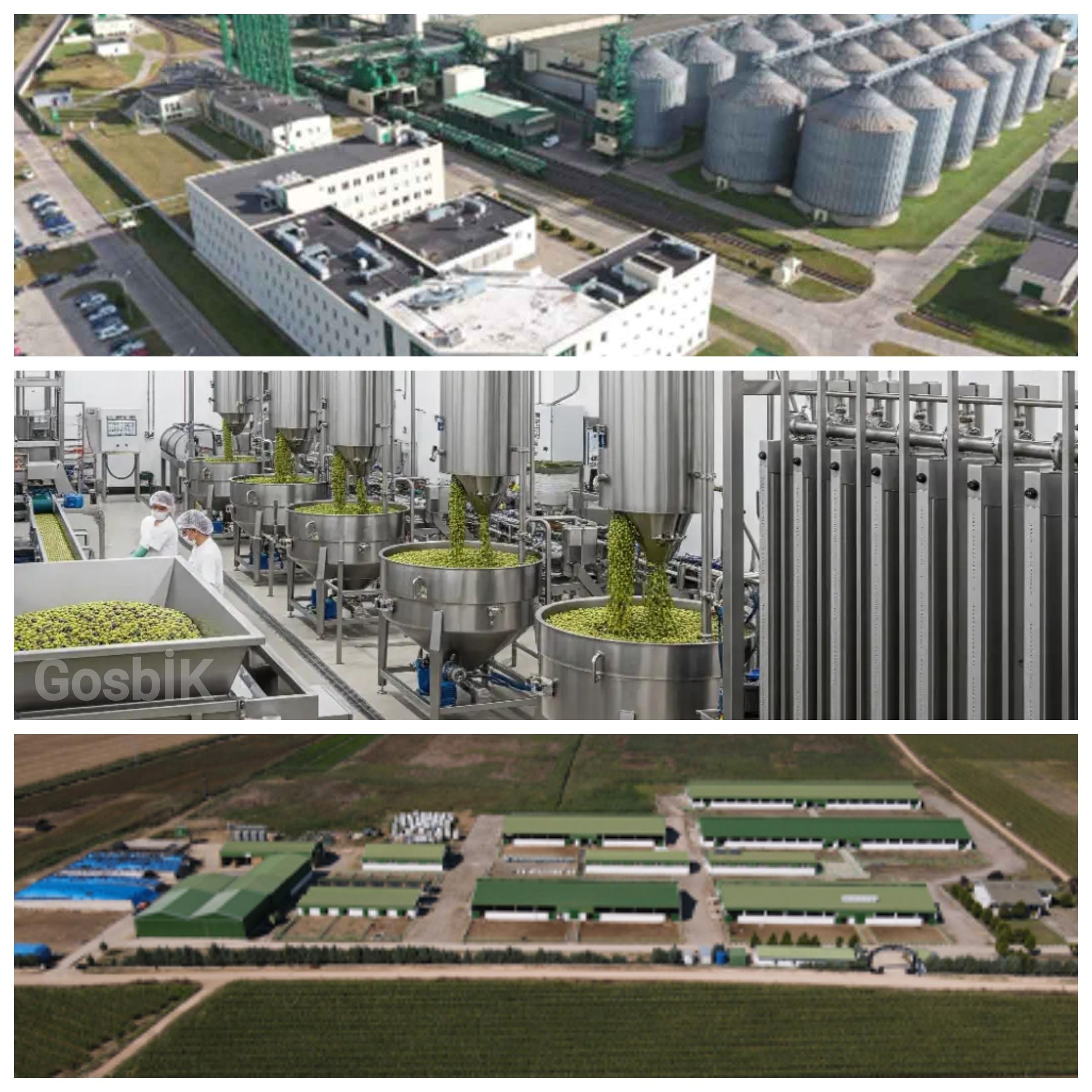 Ruslar Sattı, Türkler Aldı: 65 Yıllık Dev Yağ Fabrikası Yeniden Yerli Sermayede