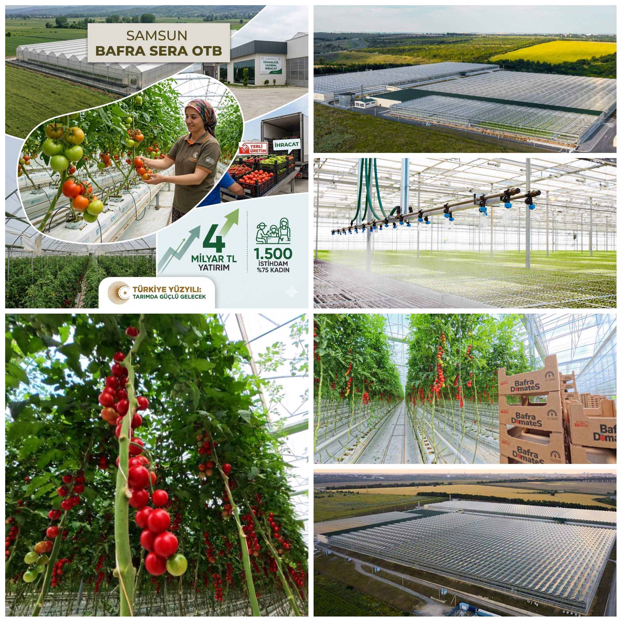 Samsun Bafra’da 4 Milyar TL’lik Dev Sera OTB: Yıllık 1,5 Milyar TL Ekonomik Katkı ve 1.500 İstihdamla Tarımda Yeni Dönem