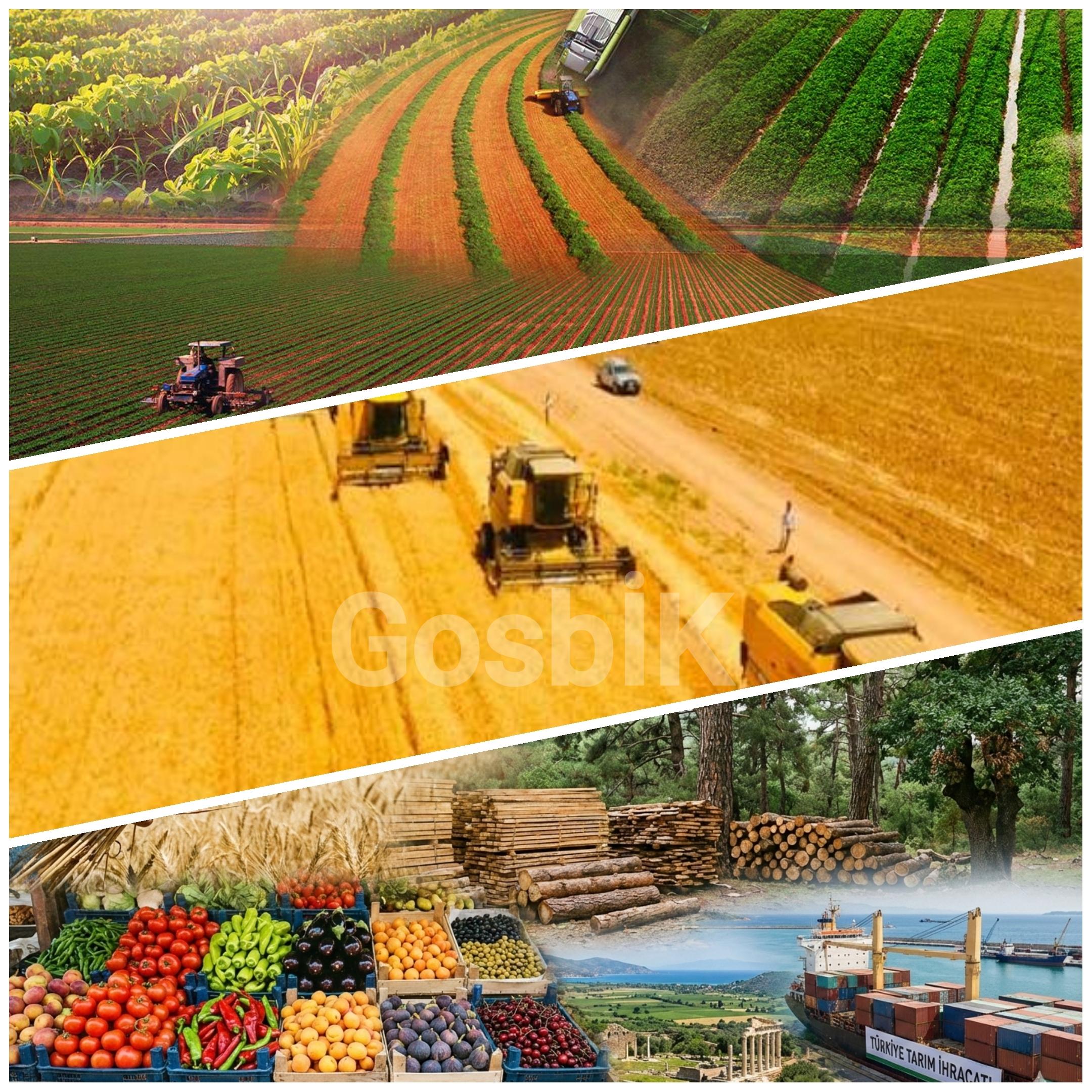 Türkiye 2025’te Tarımda Tarih Yazdı: İhracatta Rekor Seviye