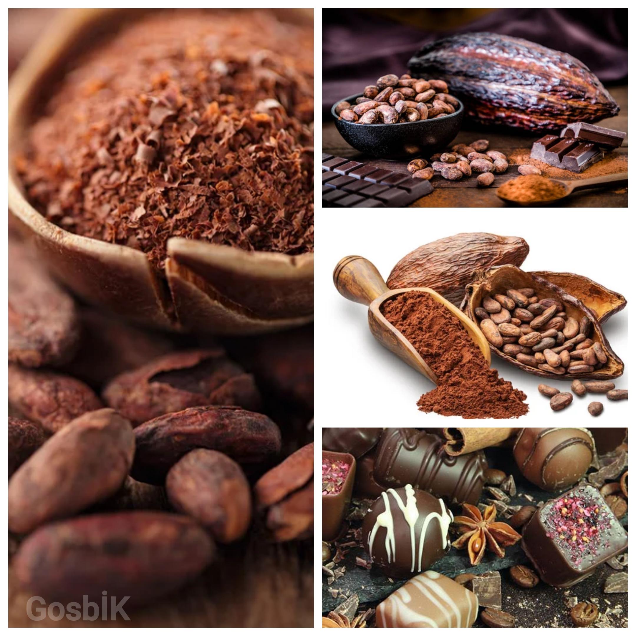 Türkiye Kakao İhracatında Rekor Kırdı: 1,7 Milyar Dolarlık Gelirle Tarihi Zirve 🍫📈