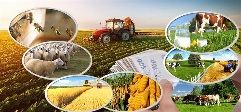 Türkiye Tarımında Dev Teşvik Hamlesi: Üretim, Verim ve Sürdürülebilirlik İçin Rekor Destekler! 🌾💰