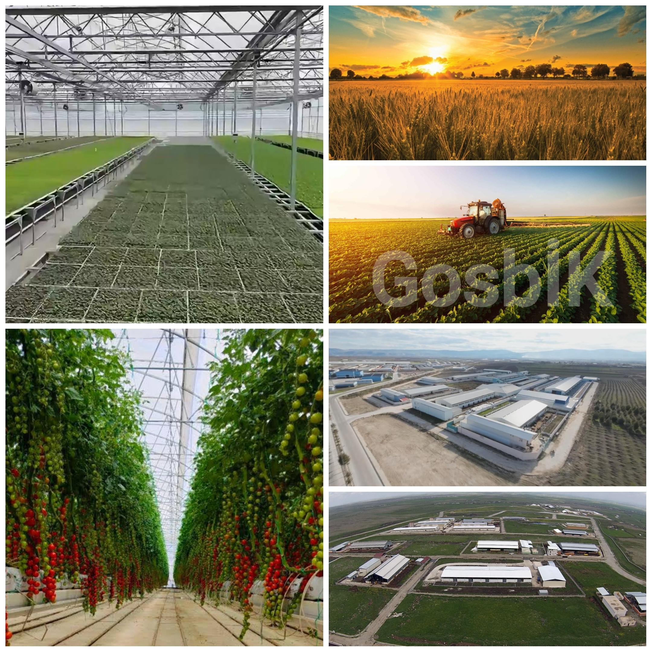 Türkiye Tarımında Stratejik Hamle: 5 Yeni Tarım Üssü Üretime Başlıyor