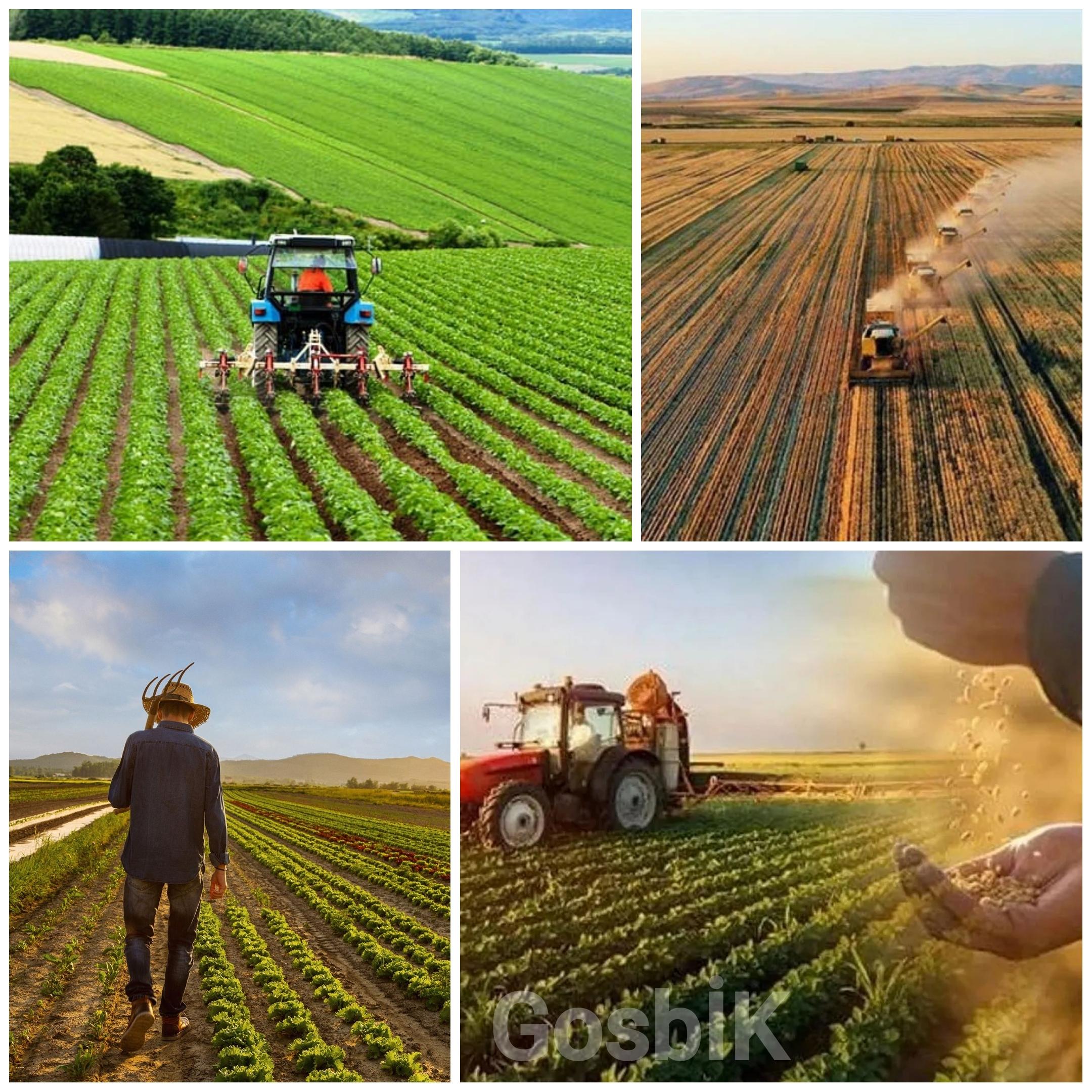 Türkiye’de Çiftçi Sayısı 5 Yılda 190 Bin Arttı: Bakan Yumaklı’dan ÇKS Verileri Açıklaması