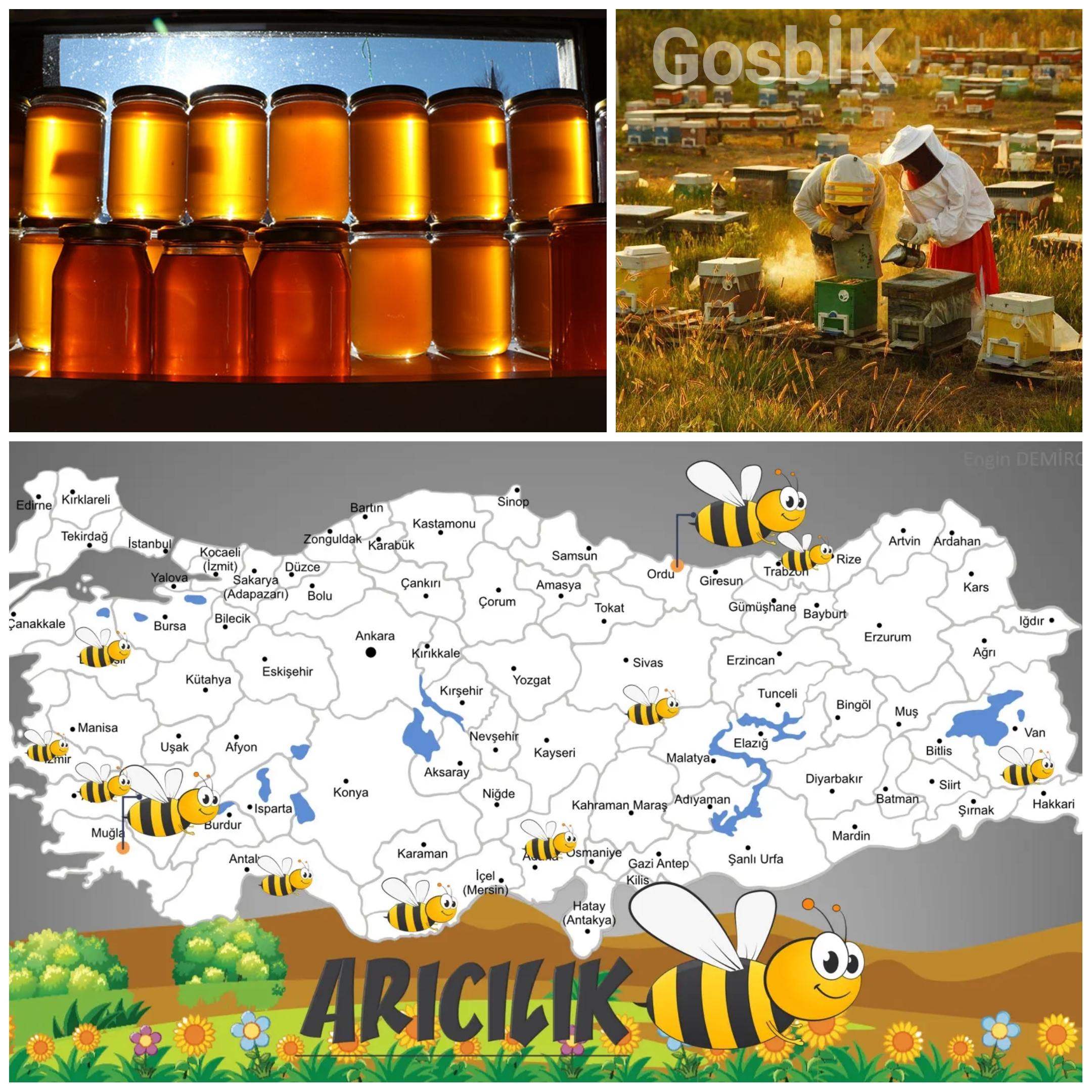 Türkiye’nin Bal İhracatı Rekor Kırıyor: 2025’te 33,5 Milyon Doları Aştı