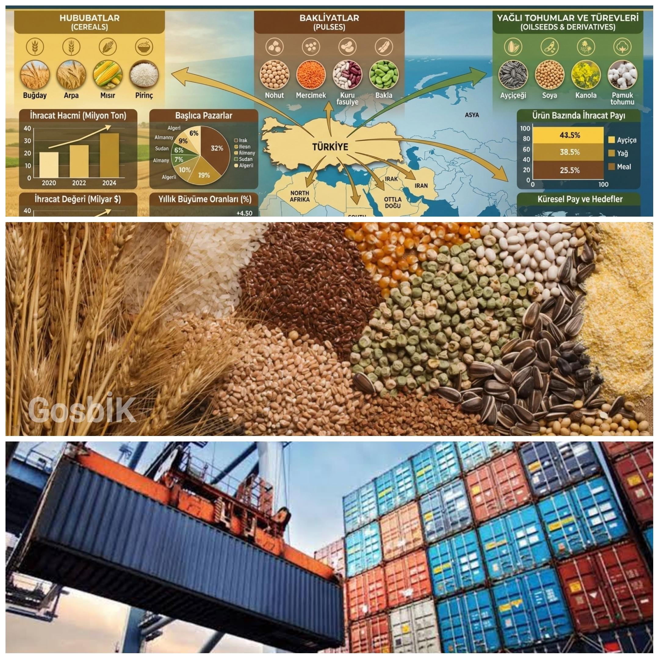 Türkiye’nin Hububat, Bakliyat ve Yağlı Tohumlar İhracatı Ocak Ayında 1 Milyar Dolara Dayandı