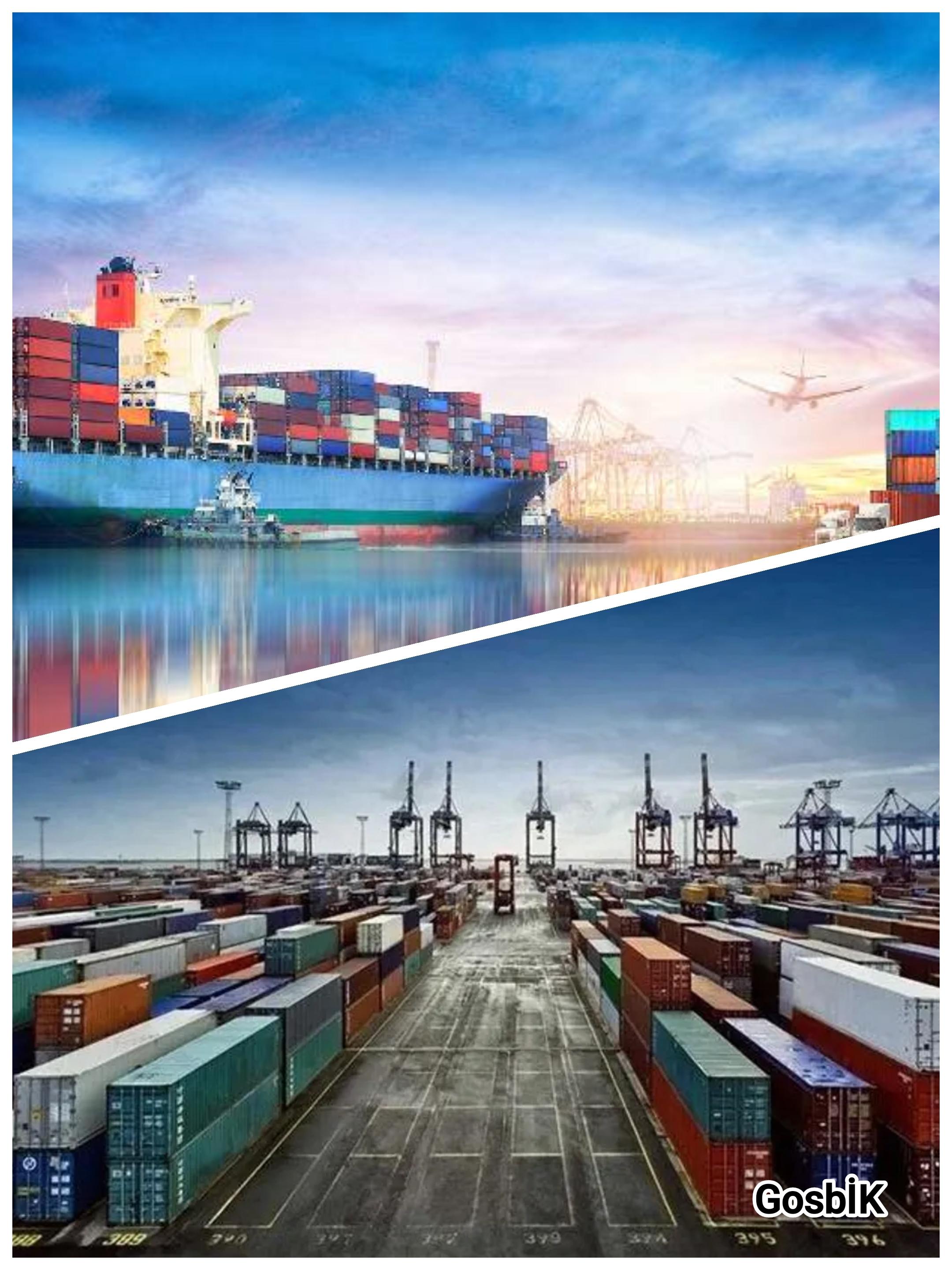 Türkiye'nin Serbest Bölgelerinde İhracat Hız Kesmiyor: 19 Bölgeden Güçlü Artış