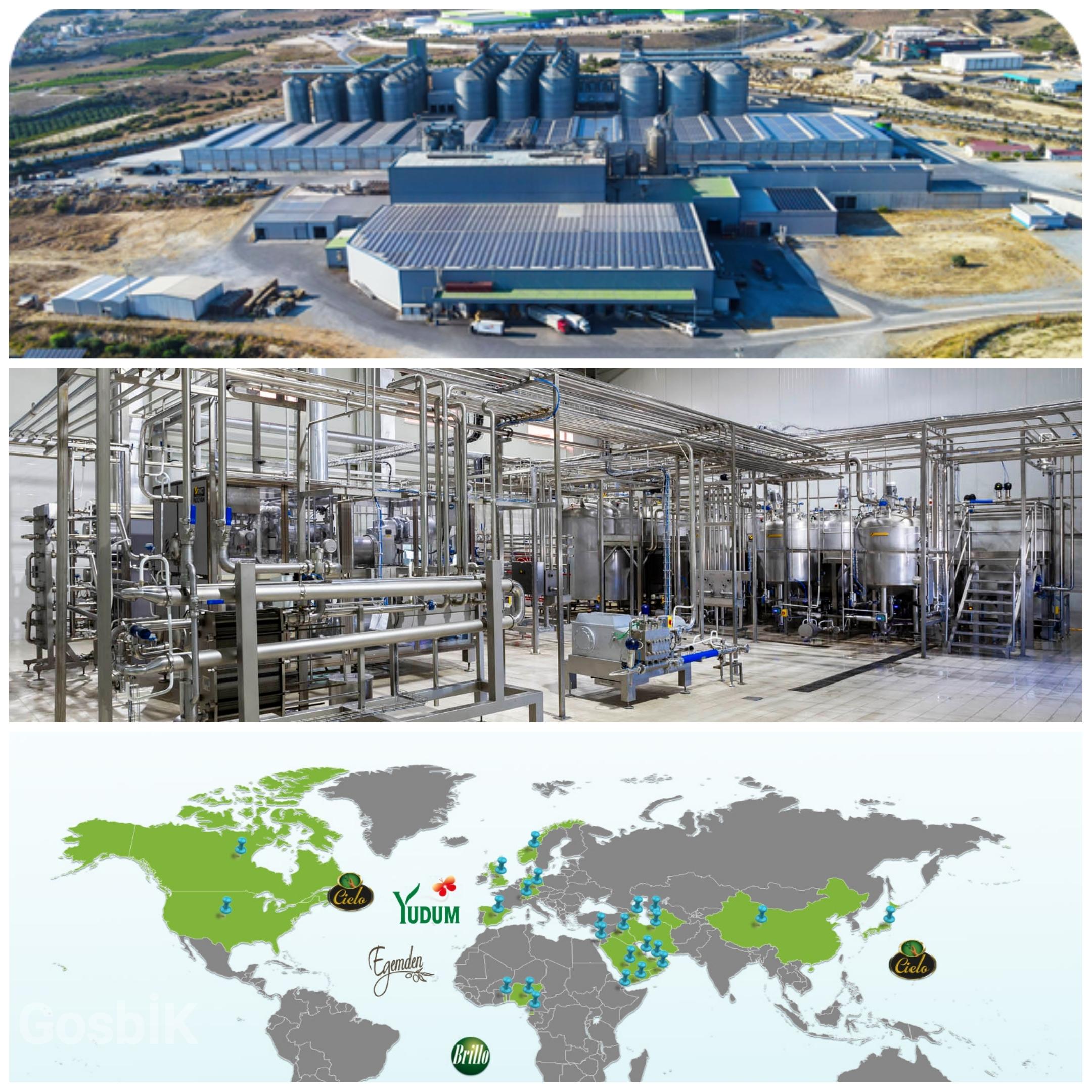 Yudum Markası Tiryaki Agro’ya Satıldı: Türkiye Sıvı Yağ Sektöründe Yeni Dönem. Yerli Sermaye ile Stratejik Güç Birliği